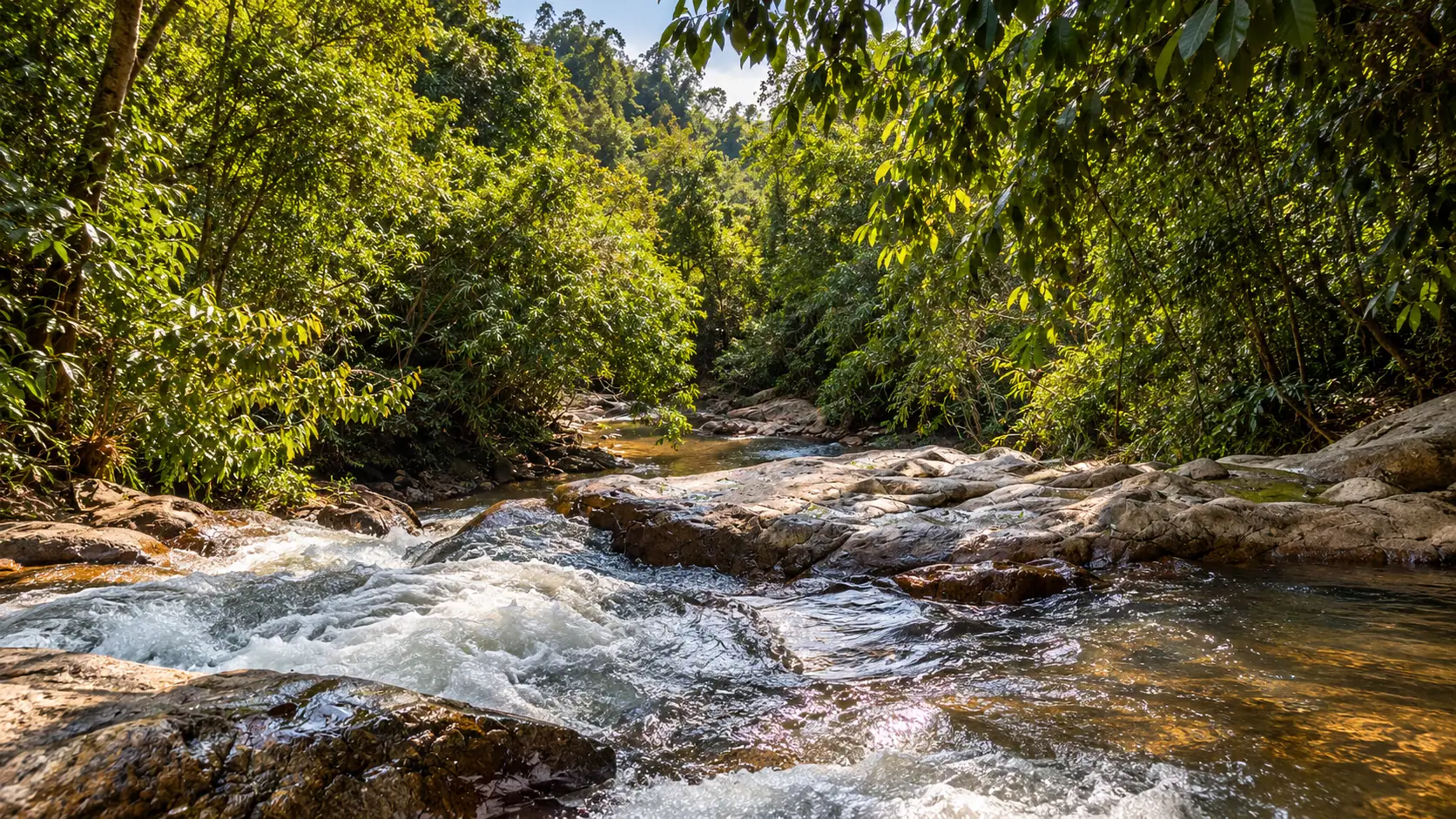 The stream rushing over rocks in afternoon light